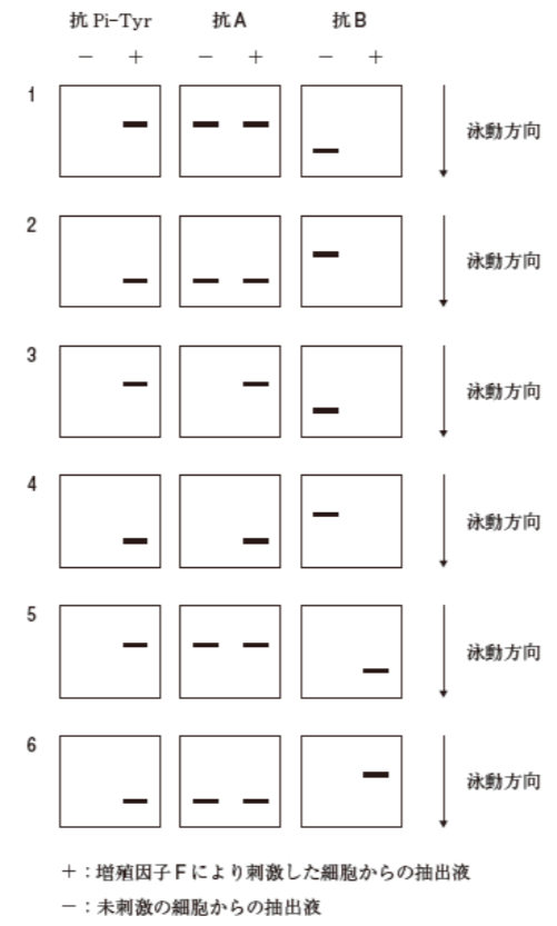 解説画像